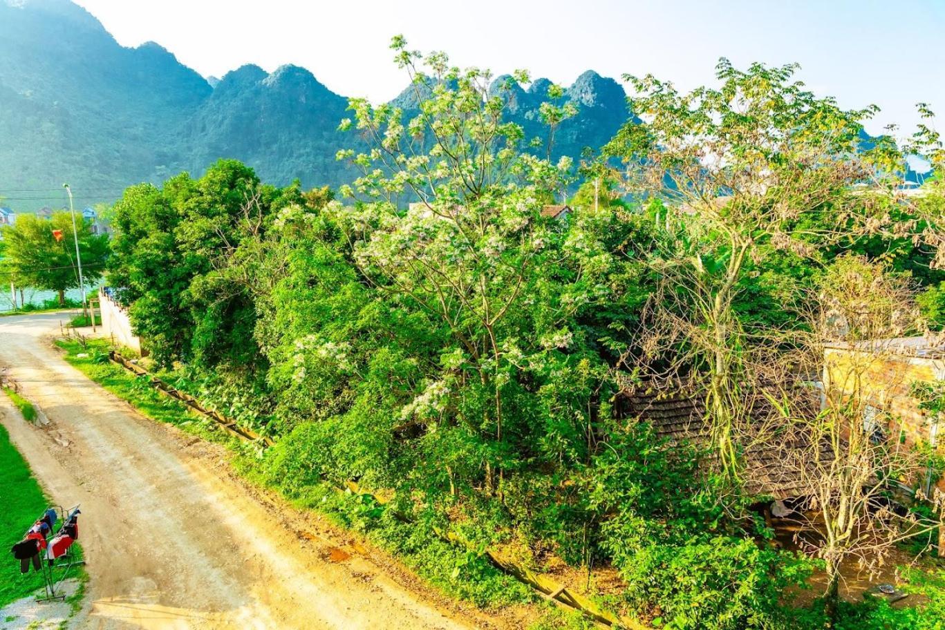 Phong Nha Cherish House 아파트 외부 사진